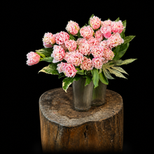 Load image into Gallery viewer, Tulips
