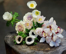 Load image into Gallery viewer, Paddington flowers
